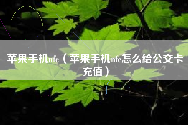 苹果手机nfc（苹果手机nfc怎么给公交卡充值）