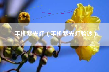 手机紫光灯（手机紫光灯验钞）