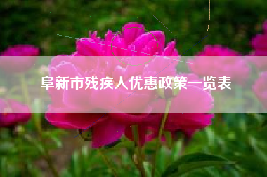 阜新市残疾人优惠政策一览表