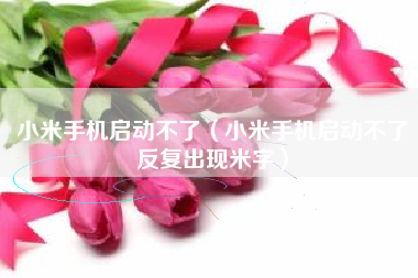 小米手机启动不了（小米手机启动不了反复出现米字）