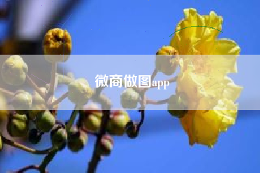 微商做图app