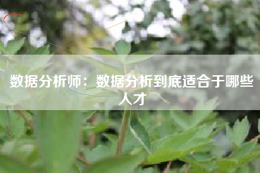 数据分析师：数据分析到底适合于哪些人才