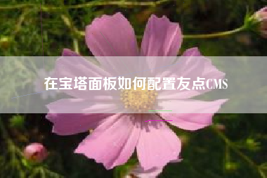 在宝塔面板如何配置友点CMS