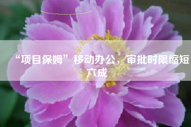 “项目保姆”移动办公，审批时限缩短六成