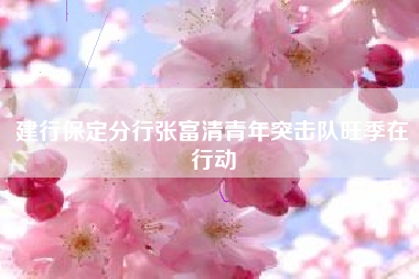 建行保定分行张富清青年突击队旺季在行动