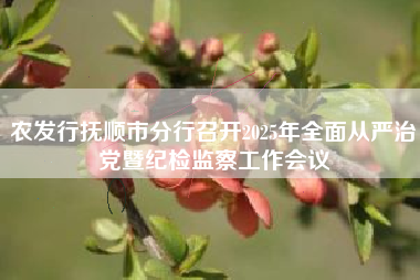 农发行抚顺市分行召开2025年全面从严治党暨纪检监察工作会议