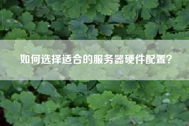 如何选择适合的服务器硬件配置？