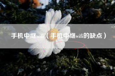 手机中继wifi（手机中继wifi的缺点）
