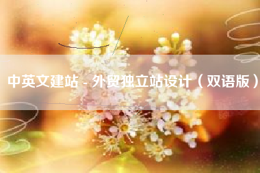 中英文建站 - 外贸独立站设计（双语版）