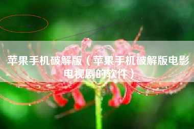 苹果手机破解版（苹果手机破解版电影电视剧的软件）