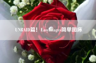 UNRAID篇！EasyImages简单图床