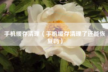 手机缓存清理（手机缓存清理了还能恢复吗）