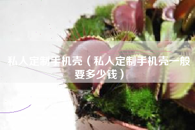 私人定制手机壳（私人定制手机壳一般要多少钱）