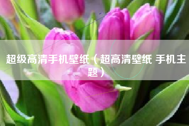 超级高清手机壁纸（超高清壁纸 手机主题）