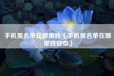 手机黑名单在哪里找（手机黑名单在哪里找安卓）