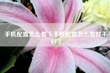 手机配置怎么看（手机配置怎么看好不好）