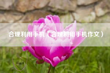 合理利用手机（合理利用手机作文）