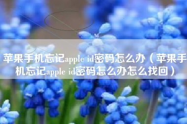 苹果手机忘记apple id密码怎么办（苹果手机忘记apple id密码怎么办怎么找回）