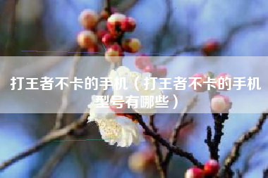 打王者不卡的手机（打王者不卡的手机型号有哪些）