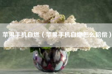 苹果手机自燃（苹果手机自燃怎么赔偿）