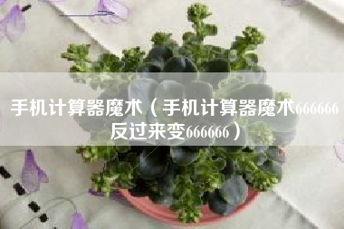 手机计算器魔术（手机计算器魔术666666反过来变666666）