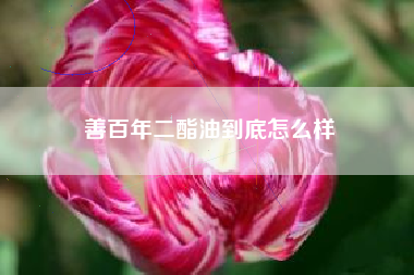 善百年二酯油到底怎么样