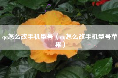 qq怎么改手机型号（qq怎么改手机型号苹果）