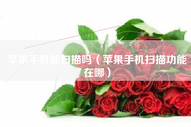 苹果手机能扫描吗（苹果手机扫描功能在哪）