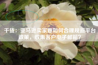 干货：亚马逊卖家要如何合理规避平台政策，收集客户电子邮箱？