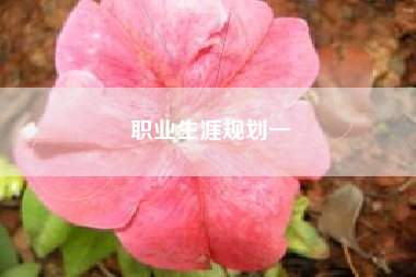 职业生涯规划一