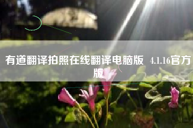 有道翻译拍照在线翻译电脑版  4.1.16官方版