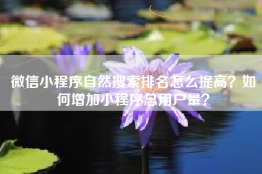 微信小程序自然搜索排名怎么提高？如何增加小程序总用户量？