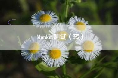 Monkey测试（转）