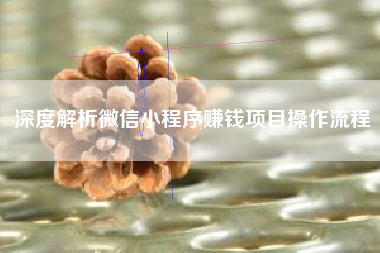 深度解析微信小程序赚钱项目操作流程