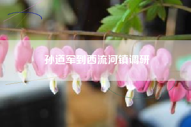 孙道军到西流河镇调研