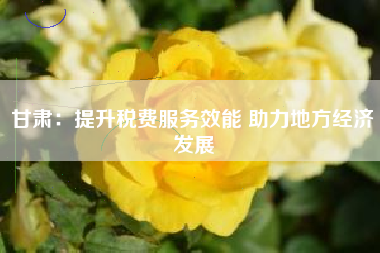 甘肃：提升税费服务效能 助力地方经济发展