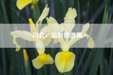 冯仑：监狱的逻辑