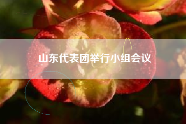 山东代表团举行小组会议