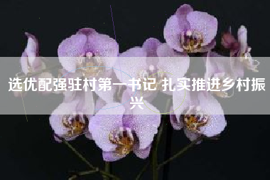 选优配强驻村第一书记 扎实推进乡村振兴