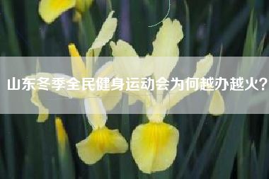 山东冬季全民健身运动会为何越办越火？