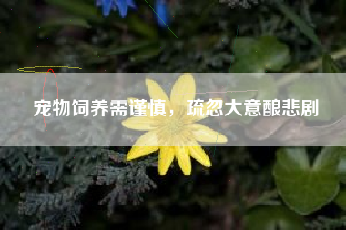 宠物饲养需谨慎，疏忽大意酿悲剧