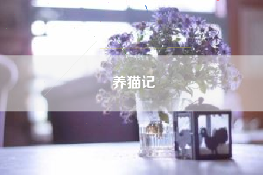 养猫记