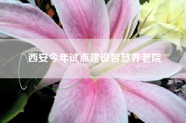 西安今年试点建设智慧养老院