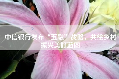 中信银行发布“五融”战略，共绘乡村振兴美好蓝图
