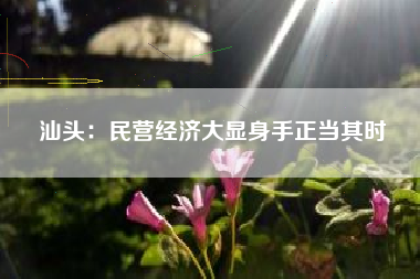 汕头：民营经济大显身手正当其时