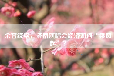 余音绕梁，济南演唱会经济如何“乘风起”？