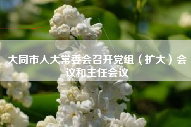 大同市人大常委会召开党组（扩大）会议和主任会议