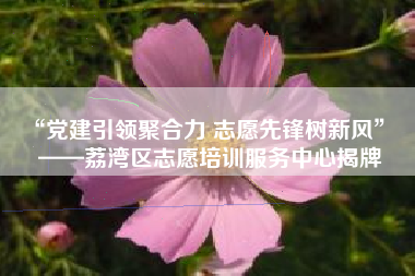 “党建引领聚合力 志愿先锋树新风”  ——荔湾区志愿培训服务中心揭牌