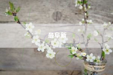 最阜新