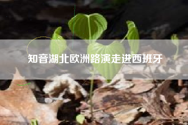 知音湖北欧洲路演走进西班牙